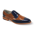 Navy / Tan